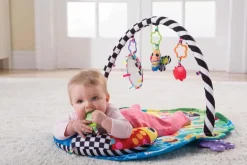 Freddie the Firefly Gym