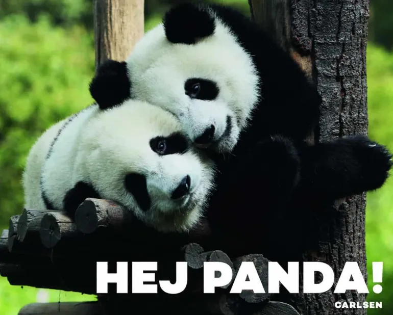 Hej panda!