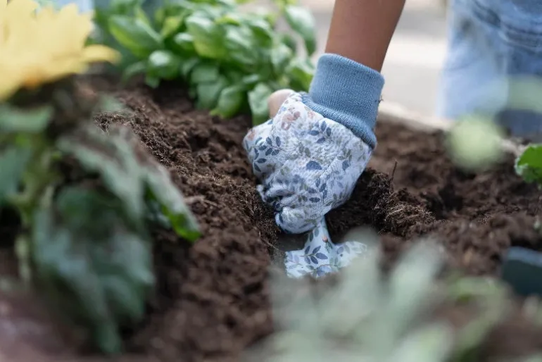 Little Dutch - Have handsker Forest Friends