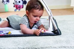 Magical Tales Gymini