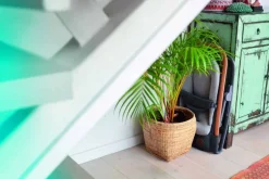 Maxi-Cosi Kori - Essential Graphite