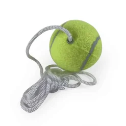 Pole Tennis Extra Ball