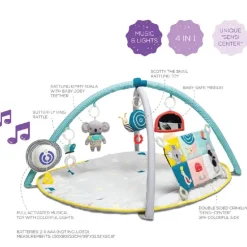 TAF All around me gym