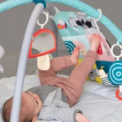 TAF All around me gym