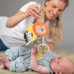 Taf Savannah discovery cube