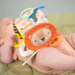 Taf Savannah discovery cube