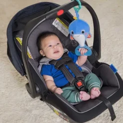 Whale-a-roo™ pull & shake aktivitets - hval