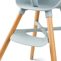 Ziza Højstol - Misty