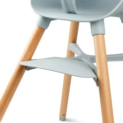 Ziza Højstol - Misty